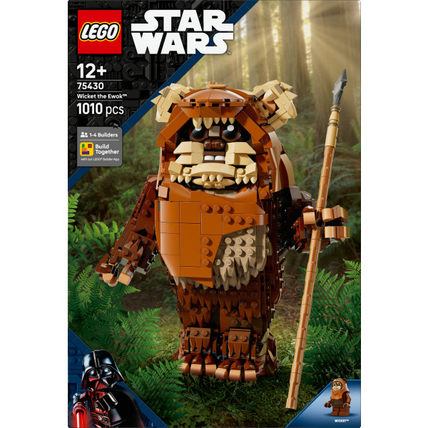 Фото - Конструктор LEGO  Star Wars™ Евок Вікет (75430)
