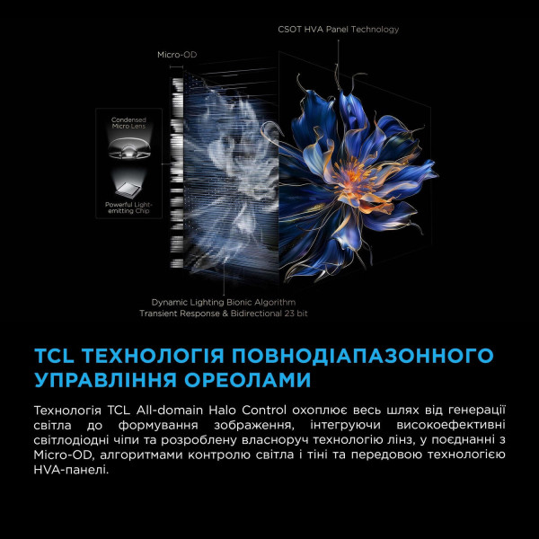 Фото - Телевізор TCL 75C61KS