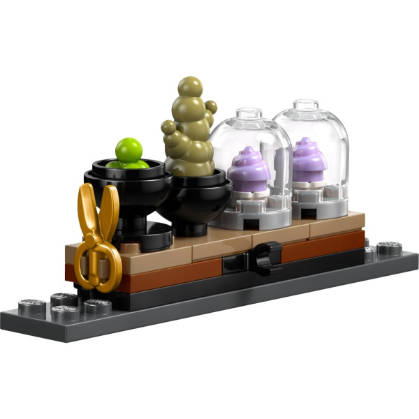 Фото - Конструктор LEGO Harry Potter Замок Гогвортс: урок гербології (76445)