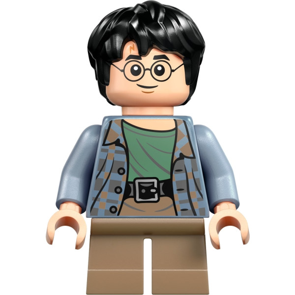 Фото - Конструктор LEGO Harry Potter Бук нук: Гоґвортський експрес (76450)