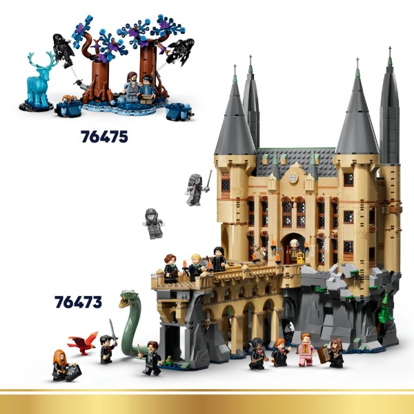 Фото - Конструктор LEGO Harry Potter™ Магазины волшебников на Аллее Ноктюрн (76471)
