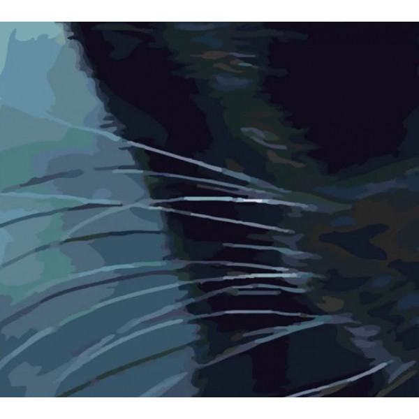 Фото - Картина за номерами Strateg Холодний погляд 40х50 см (SY6333)