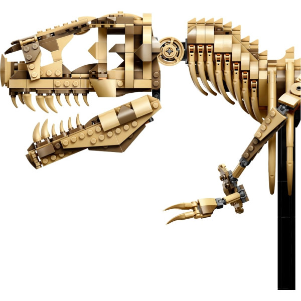 Фото - Конструктор LEGO Jurassic World Скам'янілості динозаврів: тиранозавр (76968)