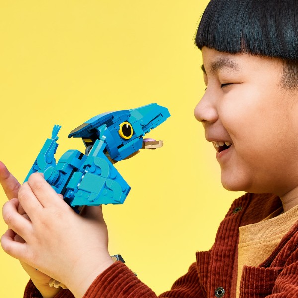 Фото - Конструктор LEGO Jurassic World Малюк динозавр: птеранодон (77977)