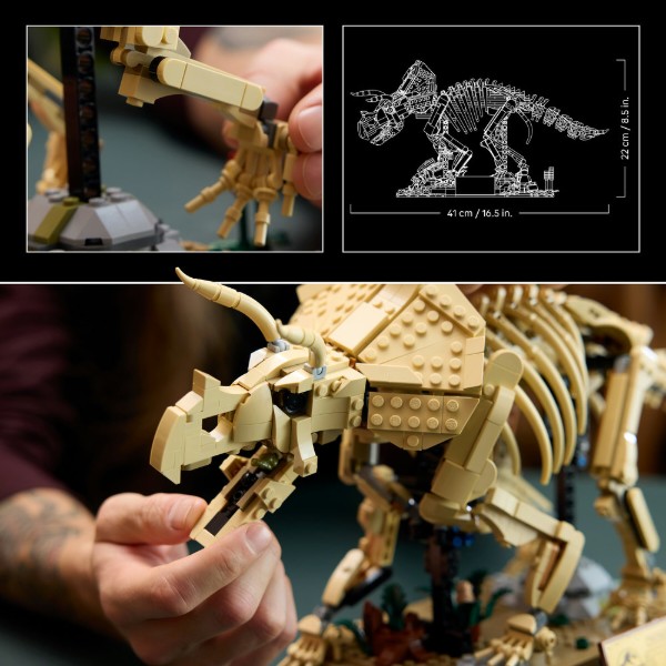 Фото - Конструктор LEGO Jurassic World Окаменелости динозавров: трицератопс (77985)
