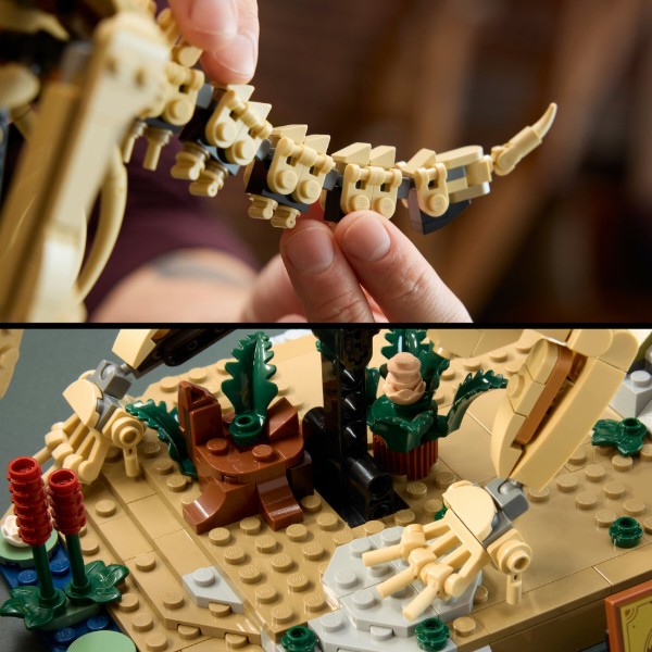 Фото - Конструктор LEGO Jurassic World Окаменелости динозавров: трицератопс (77985)