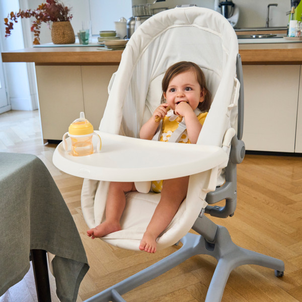 Фото - Колыбель-люлька Chicco 5 в 1 Baby Hug Pro (87076.40)