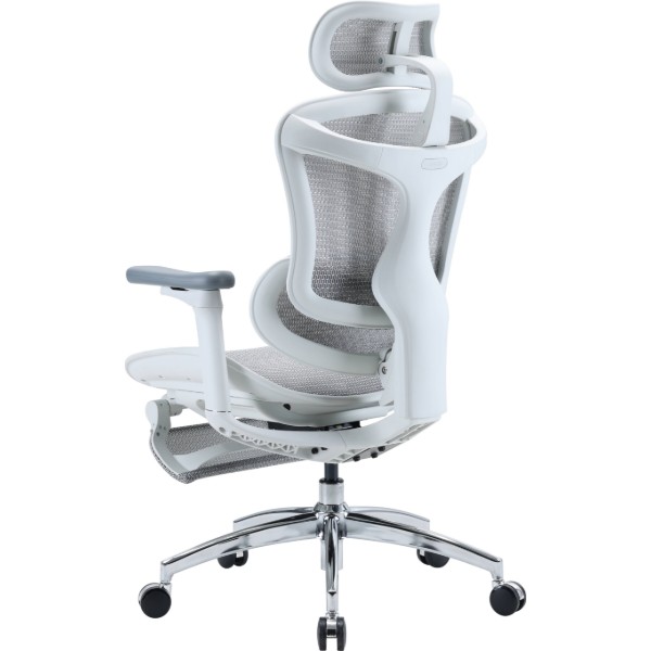 Фото - Крісло офісне Sihoo DORO C300L Mesh White with footrest (DORO-C300L-A3-102-JT)