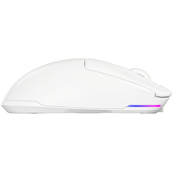Фото - Мышь беспроводная игровая Lorgar MSA10W Wireless Gaming White (LRG-MSA10W-WH)