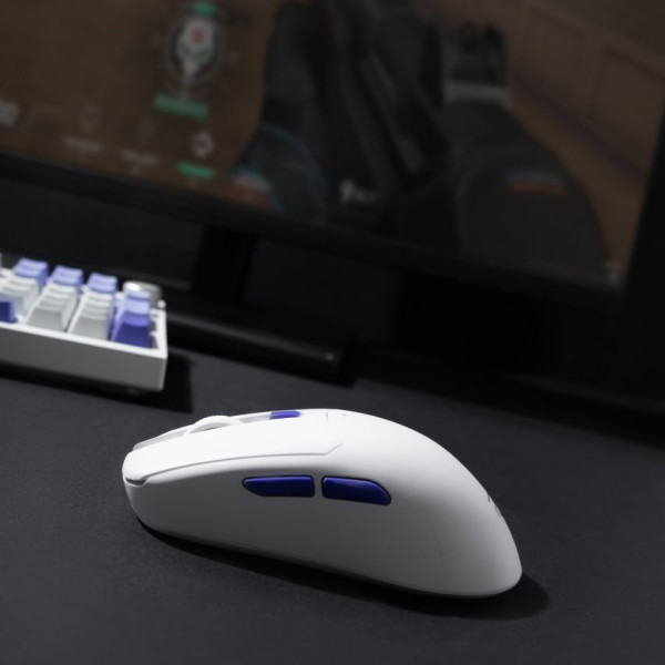 Фото - Мышь беспроводная игровая Proove Gaming Everon White (WMEV00022002)