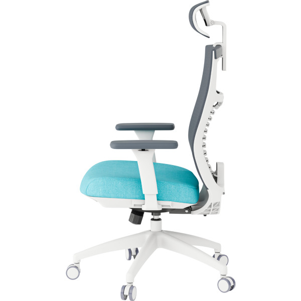 Фото - Крісло офісне OfficePro Balance (OC550-W-DG-BL) White/Dark Gray/Blue