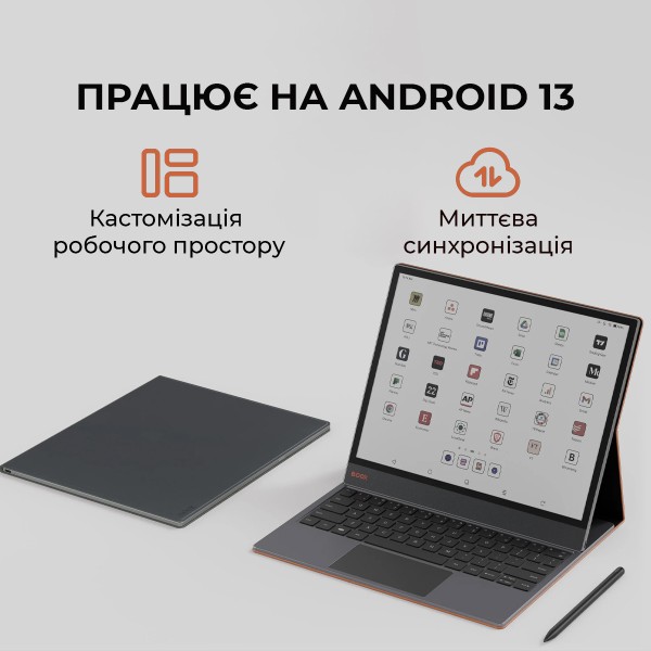 Фото - Електронна книга BOOX Tab X С