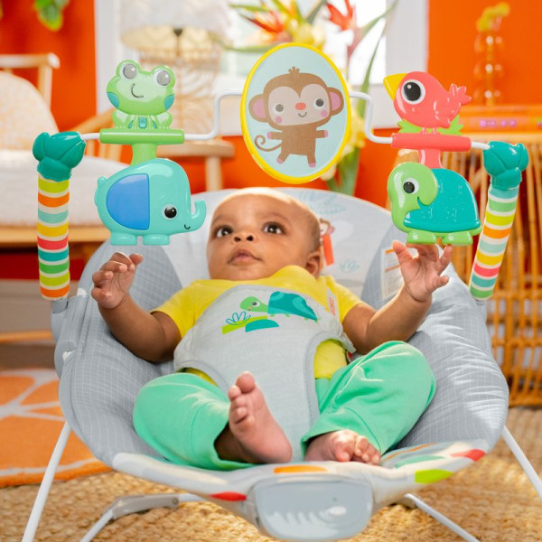 Фото - Кресло-шезлонг Bright Starts Playful Paradise (13070)