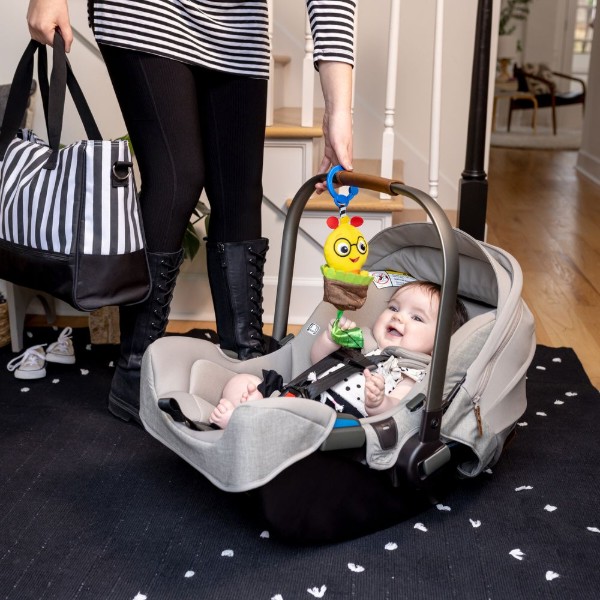 Фото - Підвіска Baby Einstein Cal-a-Puller (16887)