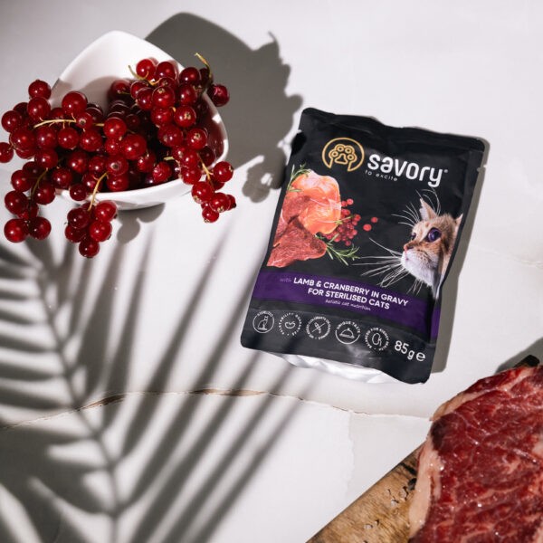 Фото - Набор влажного корма для кошек Savory Cat Pouch for Sterilised with Lamb and Cranberry in Gravy 85 г, 18+4 шт. (2700000029336)