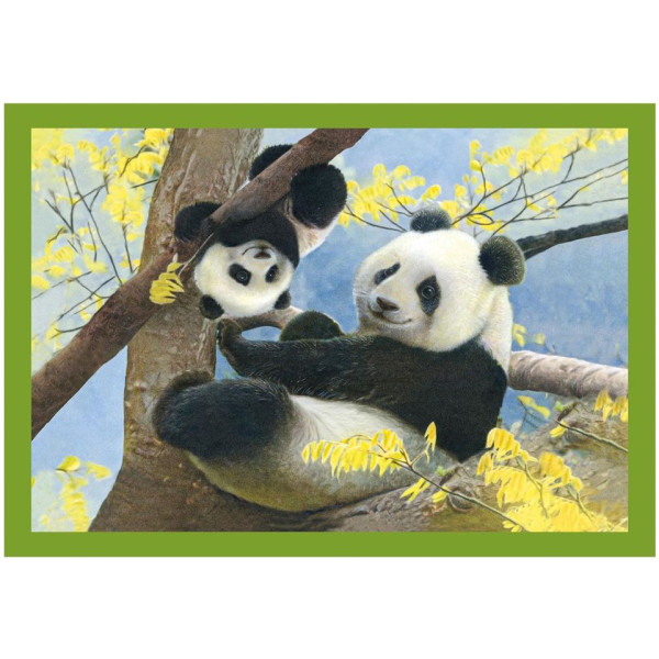 Фото - Пазлы (3-4 года) Clementoni Baby Cuddles 12,16,20 та 24 эл. (21532)