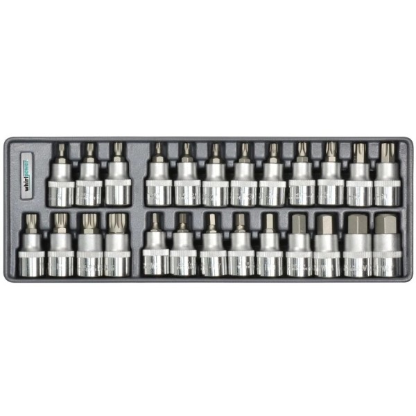 Фото - Набір торцевих голівок Whirlpower Hex Torx Spline 1/2" 25 шт. (AN-SK53)