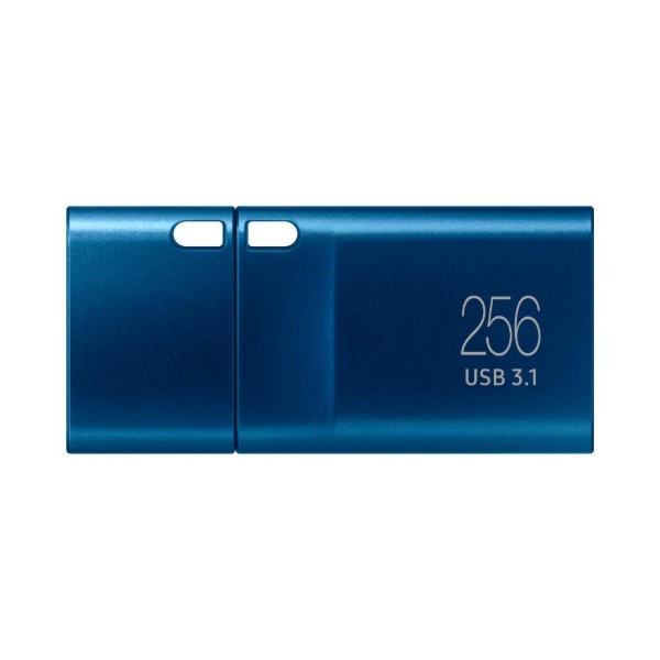 Фото - Флеш USB Samsung USB 3.1 256GB (MUF-256DA/APC)