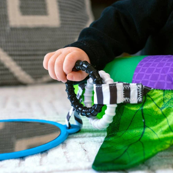 Фото - Розвиваюча подушка-килимок Baby Einstein Cal-a-Pillow (16756)