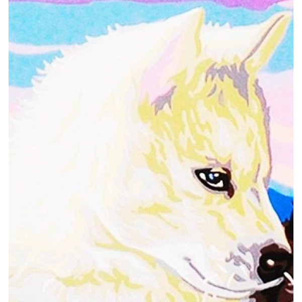 Фото - Картина за номерами Sequin Senior Ескімоси (SA1036)