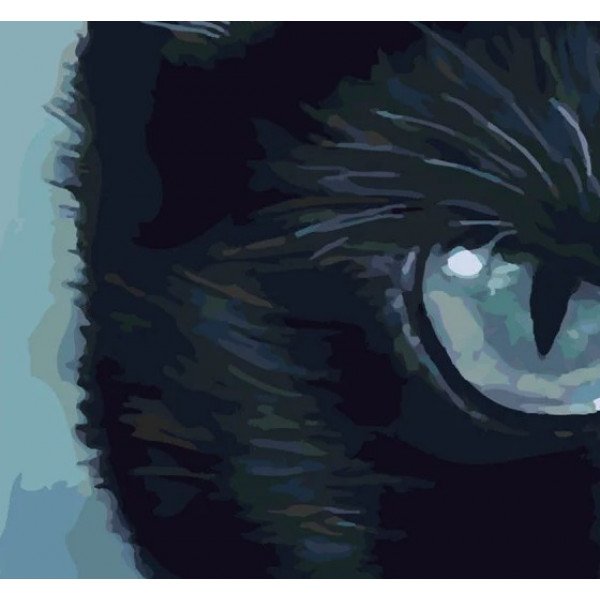 Фото - Картина за номерами Strateg Холодний погляд 40х50 см (SY6333)