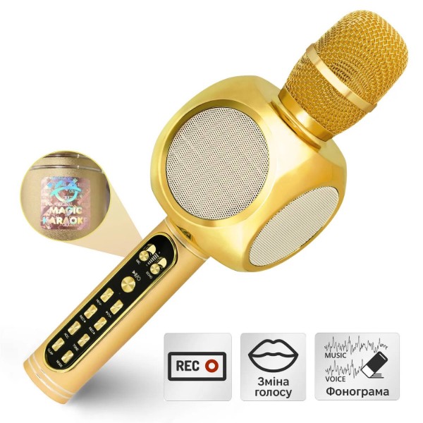 Фото - Микрофон вокальный беспроводной Magic Karaoke YS-90 Pro Gold