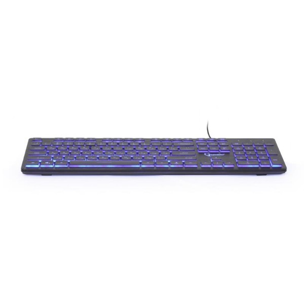 Фото - Клавиатура проводная Gembird KB-UML3-01-UA Black USB