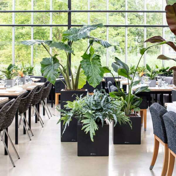 Фото - Вазон Lechuza Canto Slatestone Low  30 темно-сірий 15931