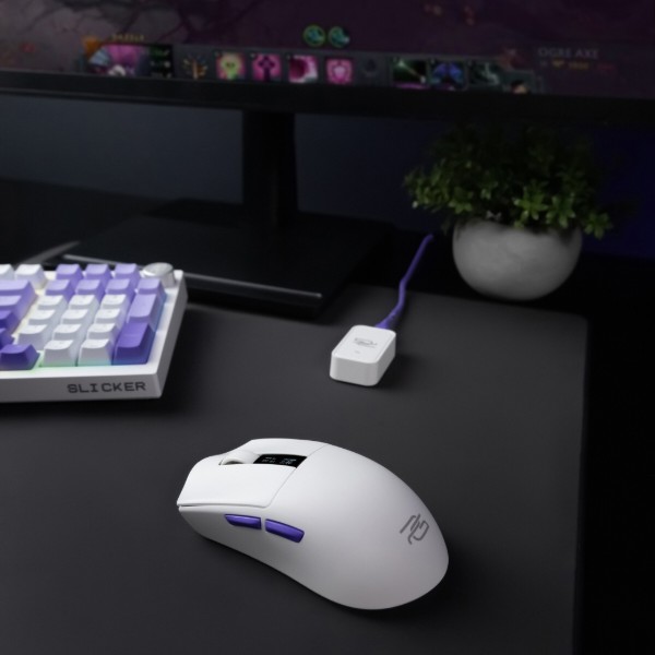 Фото - Миша бездротова ігрова Proove Gaming Jester White (WMJS00022002)