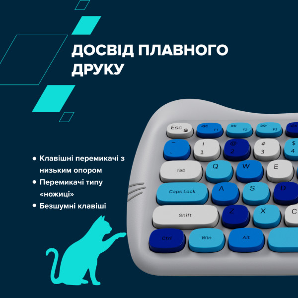 Фото - Клавіатура + миша бездротова Canyon HSET-W6 Kitty Edition Blue (CNS-HSETW6BL)
