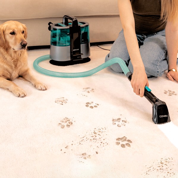 Фото - Пилосос миючий і плямовивідник Cecotec Conga 6000 Carpet&Spot Clean XL (A01_EU01_122354)