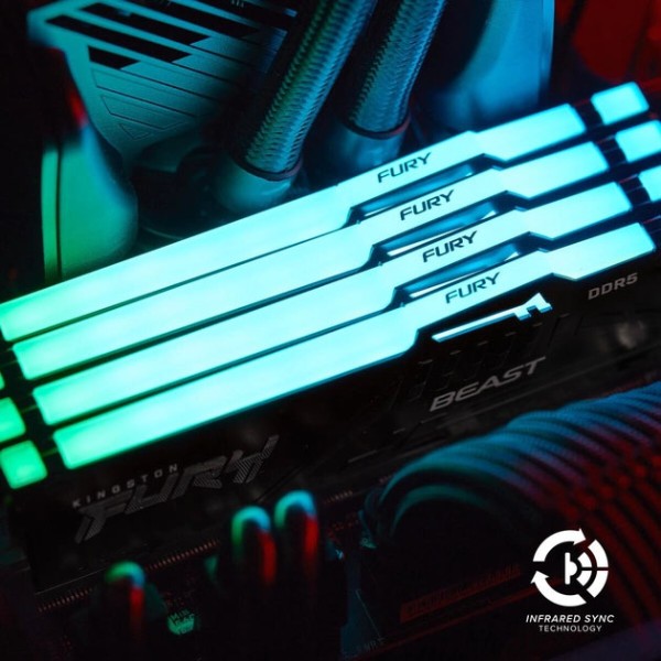 Фото - Пам'ять DDR Kingston Fury Beast RGB DDR5 32GB/6000 (KF560C36BBEA-32)