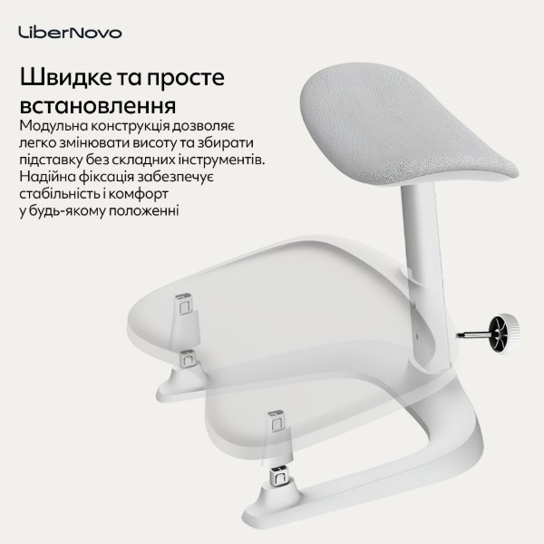 Фото - Підставка для ніг регульована LiberNovo StepSync Footrest Space Gray (CP-GW-0000002-00-00)