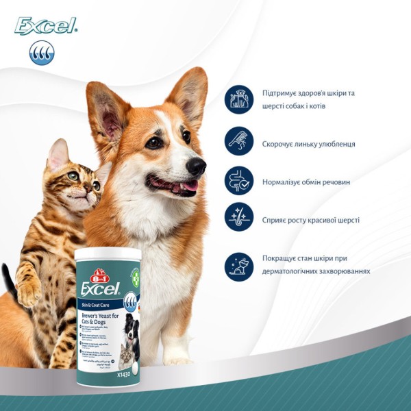 Фото - Витамины для кошек и собак 8in1 Excel Brewers Yeast пивные дрожжи с чесноком для кожи и шерсти 260 шт. (4048422183815)