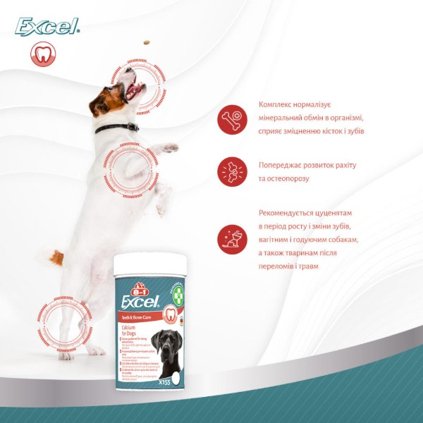 Фото - Витамины для собак 8in1 Excel Calcium для щенков и взрослых для зубов и костей кальций 155 шт. (4048422184027)