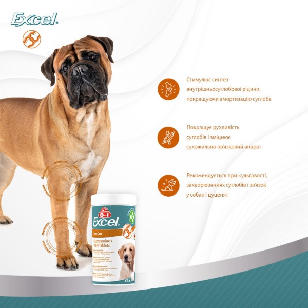 Фото - Витамины для собак 8in1 Excel Glucosamine+MSM для щенков и взрослых для суставов 55 шт. (4048422184157)