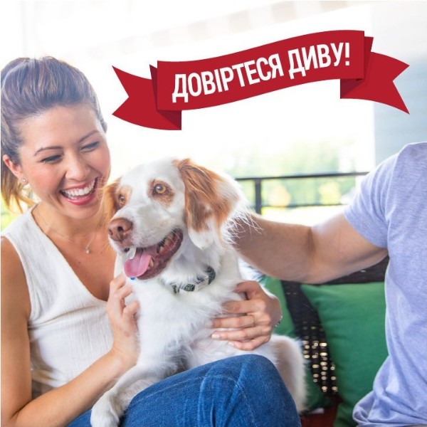 Фото - Средство для удаления пятен для животных 8in1 Nature's Miracle ADV Dog Stain and Odor Elimin Spray с усиленной формулой 946 мл (18065970169)