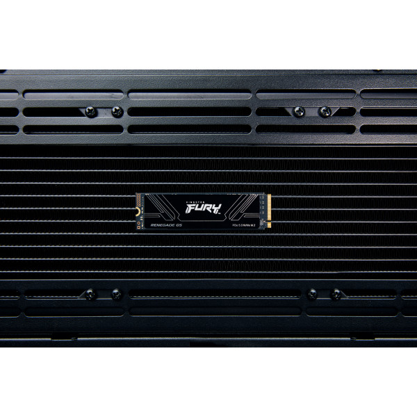 Фото - SSD-накопитель внутренний Kingston M.2 8TB PCIe 5.0 FURY Renegade (SFYR2D/8T1)