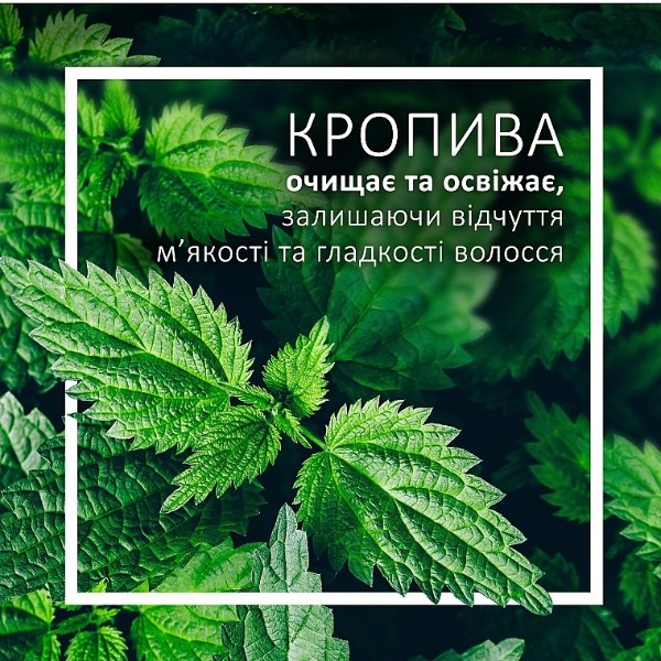 Фото - Шампунь жіночий Schauma Чистота та Свіжість для нормального волосся 400 мл (9000101627633)