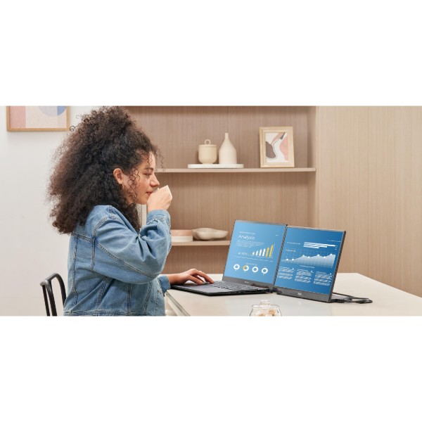 Фото - Монитор Asus ZenScreen MB17AHG