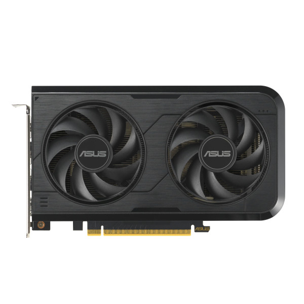 Фото - Відеокарта Asus GeForce RTX 5050 8 GB GDDR6 OC DUAL-RTX5050-O8G