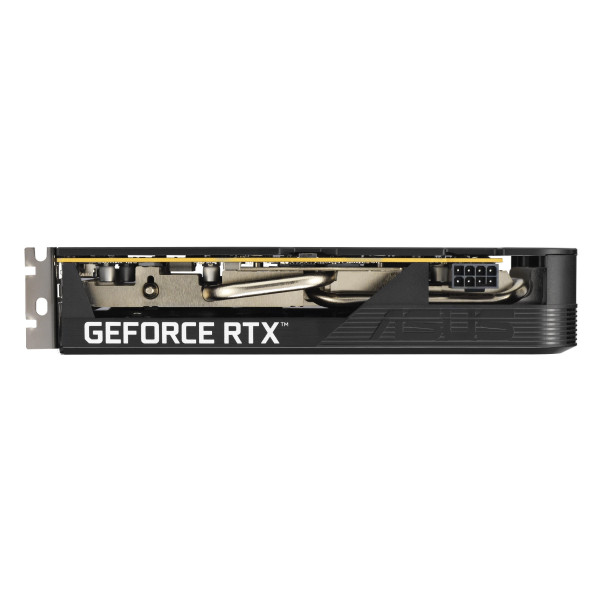 Фото - Відеокарта Asus GeForce RTX 5050 8 GB GDDR6 OC DUAL-RTX5050-O8G