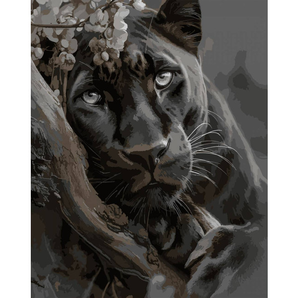 Фото - Картина за номерами Santi Чорна пантера 40х50 см (955763)