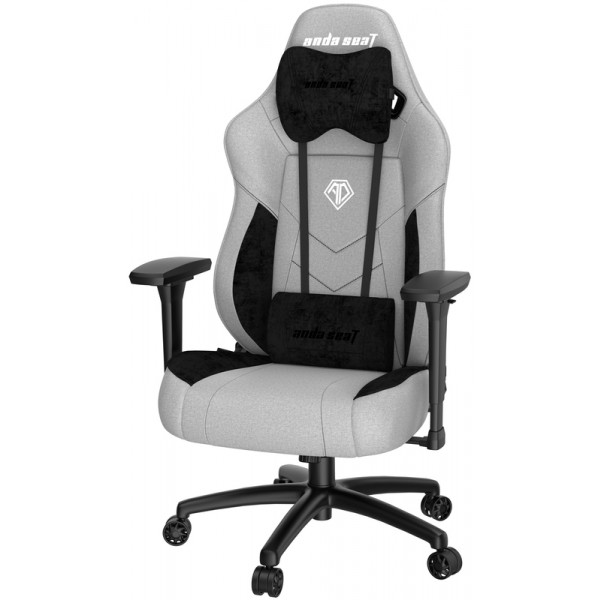 Фото - Крісло для геймерів Anda Seat T Compact Grey/Black Size L (AD19-01-GB-F)