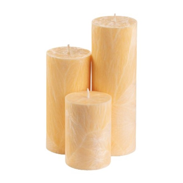 Фото - Свічка декоративна CandlesBio циліндр 70/100 мм Ваніль (WP13 70/100)