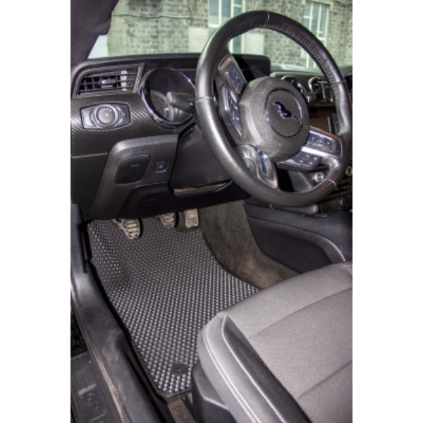 Фото - Коврики ворсовые в салон авто EVAtech Standard для Ford Mustang (S550) 2015-2023 6 поколение Coupe USA черный кант FD1956PD4OU2VEB