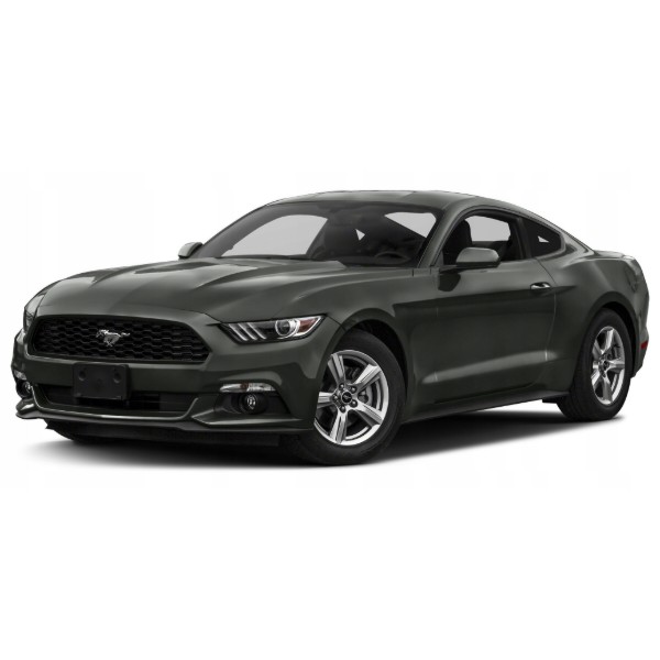Фото - Коврики ворсовые в салон авто EVAtech Standard для Ford Mustang (S550) 2015-2023 6 поколение Coupe USA черный кант FD1956PD4OU2VEB