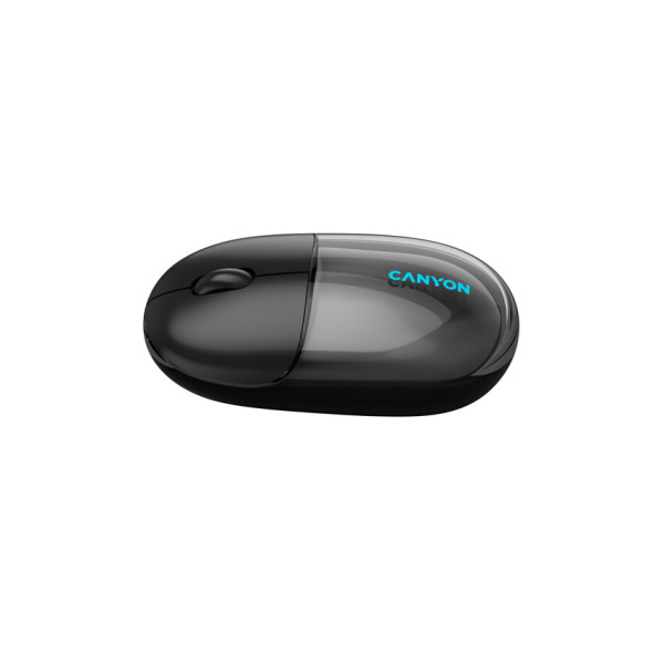Фото - Мышь беспроводная Canyon OnClick 24 Dual-mode Silent Transparent/Black (CNS-CMSW24B)