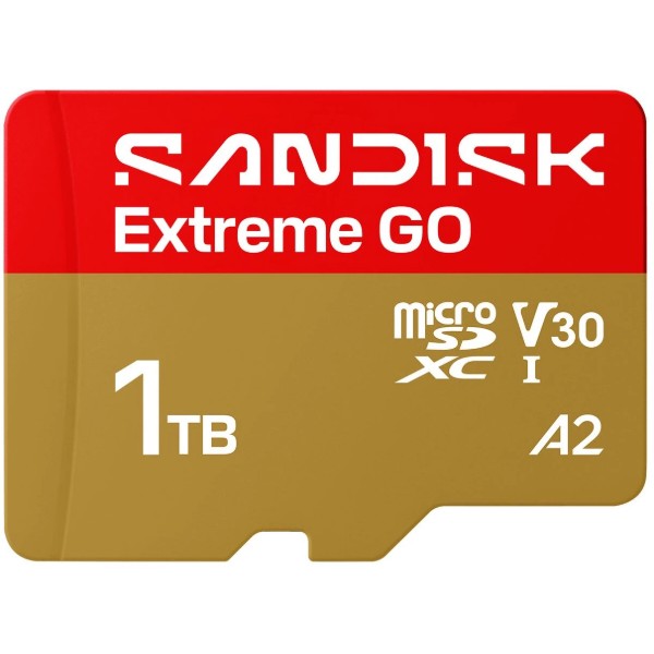 Фото - Карта пам'яті SanDisk Extreme GO SDXC 1TB UHS-I V30 A2 (SDSQXGN-1T00-GN6MN)