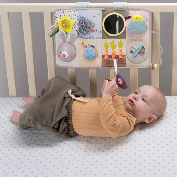 Фото - Підвіска Taf Toys Розвиваючий центр для ліжечка колекції Садик у місті - ПІЗНАЙ СВІТ (13115)